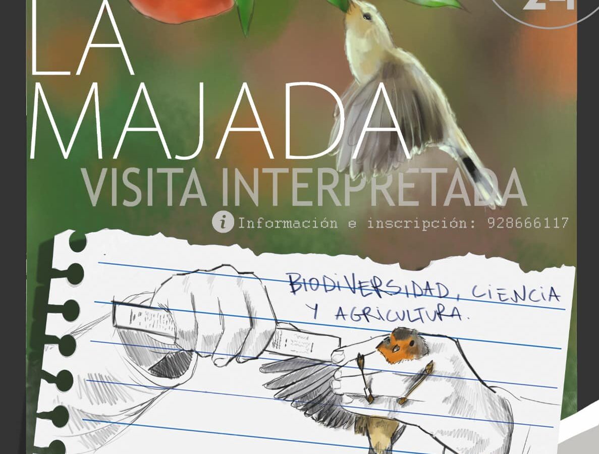 La Majada: visita Interpretada